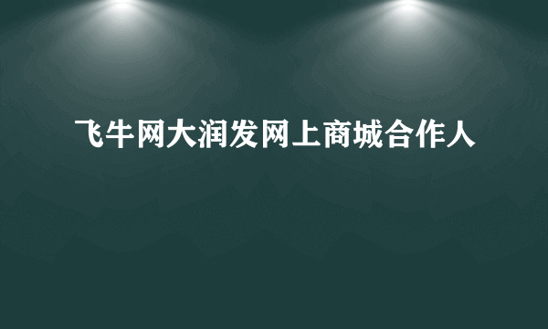 飞牛网大润发网上商城合作人