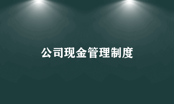 公司现金管理制度