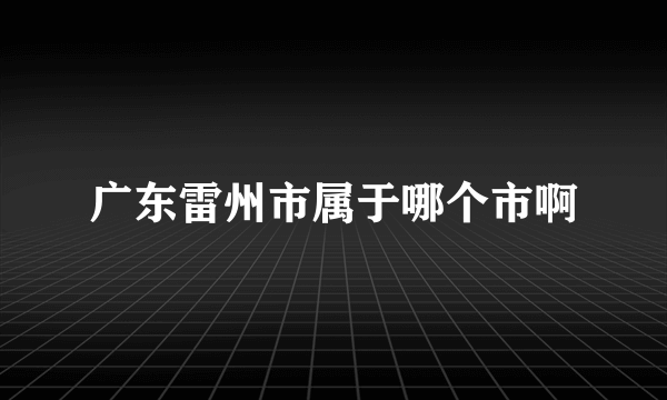 广东雷州市属于哪个市啊