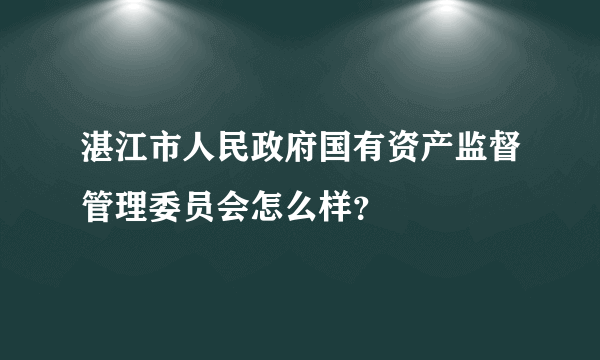 湛江市人民政府国有资产监督管理委员会怎么样？