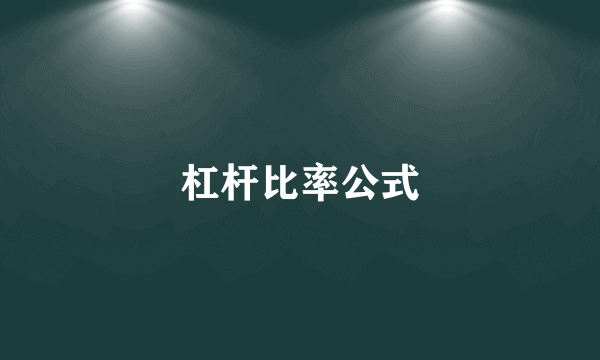 杠杆比率公式