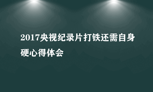 2017央视纪录片打铁还需自身硬心得体会