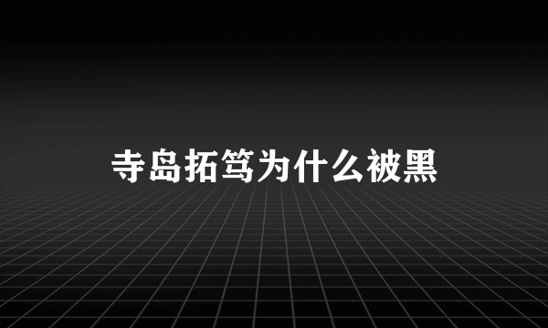 寺岛拓笃为什么被黑