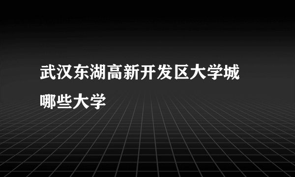 武汉东湖高新开发区大学城 哪些大学