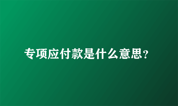 专项应付款是什么意思？