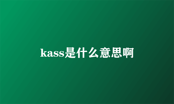 kass是什么意思啊