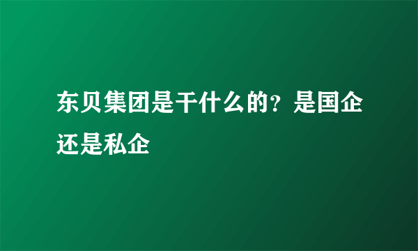 东贝集团是干什么的？是国企还是私企