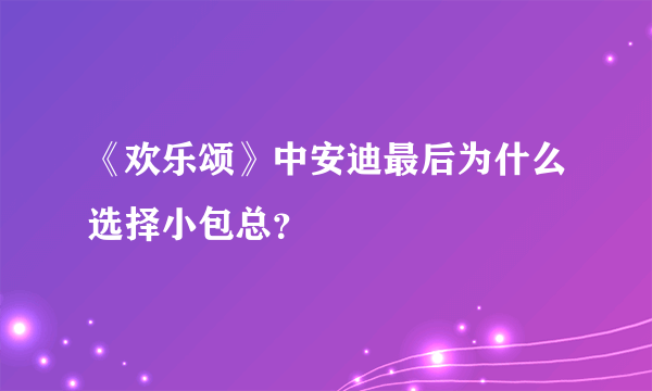 《欢乐颂》中安迪最后为什么选择小包总？