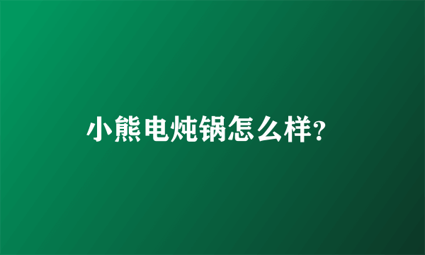 小熊电炖锅怎么样？