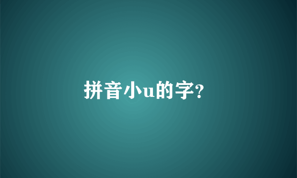 拼音小u的字？