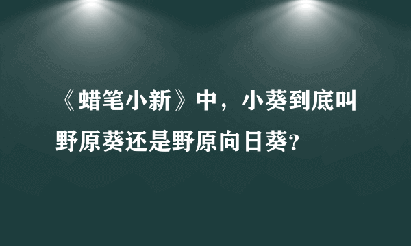 《蜡笔小新》中，小葵到底叫野原葵还是野原向日葵？