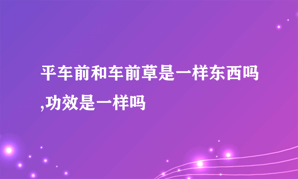 平车前和车前草是一样东西吗,功效是一样吗