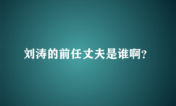 刘涛的前任丈夫是谁啊？