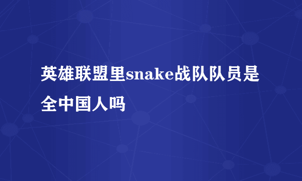 英雄联盟里snake战队队员是全中国人吗