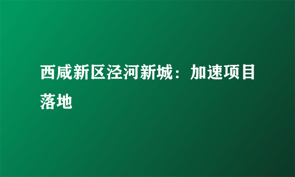 西咸新区泾河新城：加速项目落地