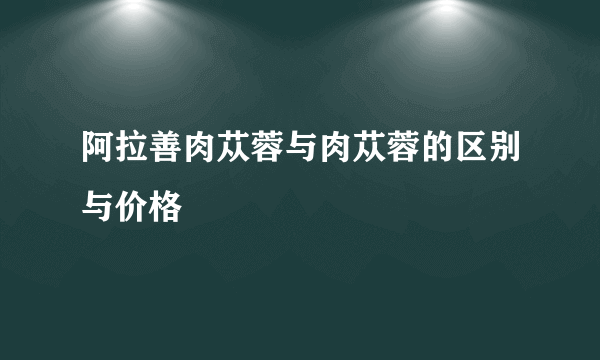 阿拉善肉苁蓉与肉苁蓉的区别与价格