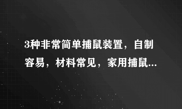 3种非常简单捕鼠装置，自制容易，材料常见，家用捕鼠效果非常好