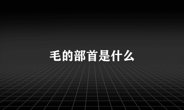 毛的部首是什么