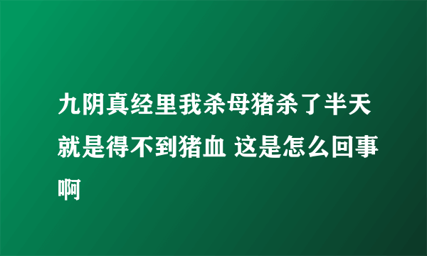 九阴真经里我杀母猪杀了半天就是得不到猪血 这是怎么回事啊