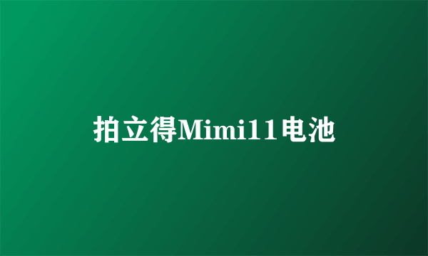 拍立得Mimi11电池