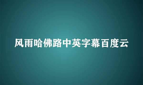 风雨哈佛路中英字幕百度云