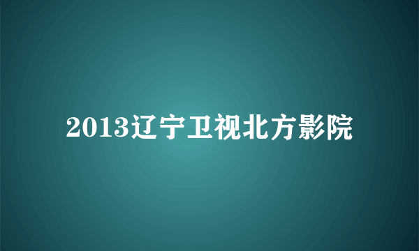 2013辽宁卫视北方影院