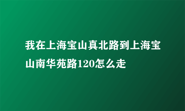 我在上海宝山真北路到上海宝山南华苑路120怎么走