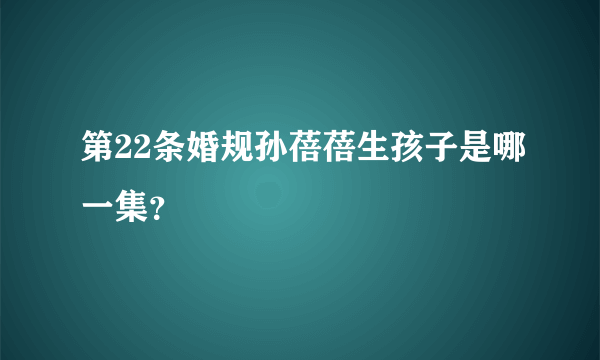 第22条婚规孙蓓蓓生孩子是哪一集？