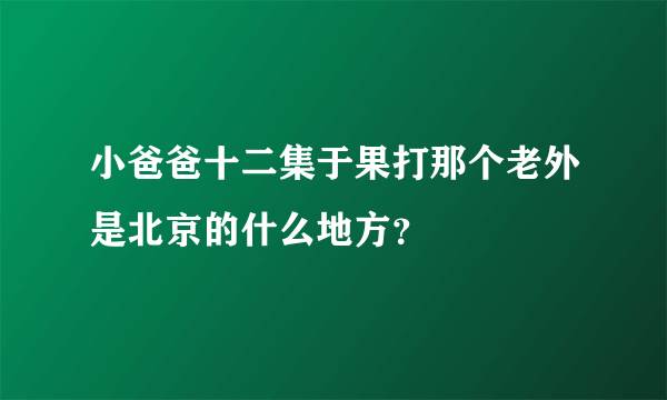 小爸爸十二集于果打那个老外是北京的什么地方？