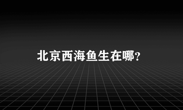 北京西海鱼生在哪？