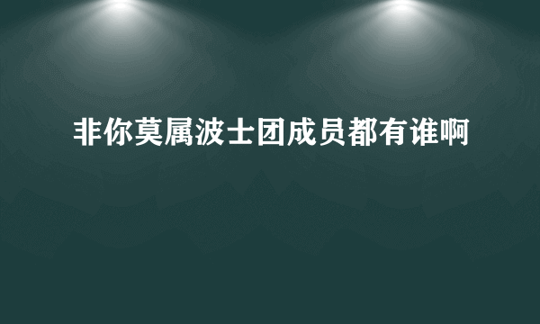 非你莫属波士团成员都有谁啊