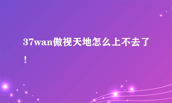 37wan傲视天地怎么上不去了！