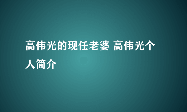 高伟光的现任老婆 高伟光个人简介