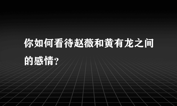 你如何看待赵薇和黄有龙之间的感情？