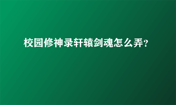 校园修神录轩辕剑魂怎么弄？