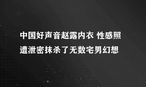 中国好声音赵露内衣 性感照遭泄密抹杀了无数宅男幻想