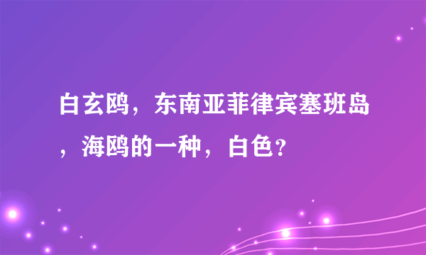 白玄鸥，东南亚菲律宾塞班岛，海鸥的一种，白色？