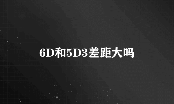 6D和5D3差距大吗