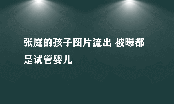 张庭的孩子图片流出 被曝都是试管婴儿