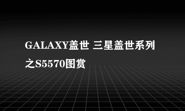 GALAXY盖世 三星盖世系列之S5570图赏