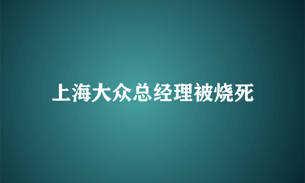 上海大众总经理被烧死