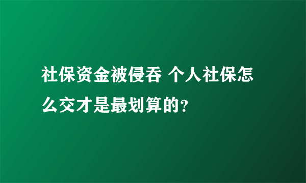 社保资金被侵吞 个人社保怎么交才是最划算的？