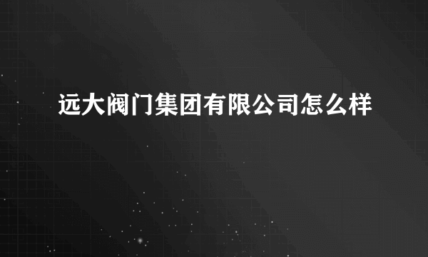 远大阀门集团有限公司怎么样