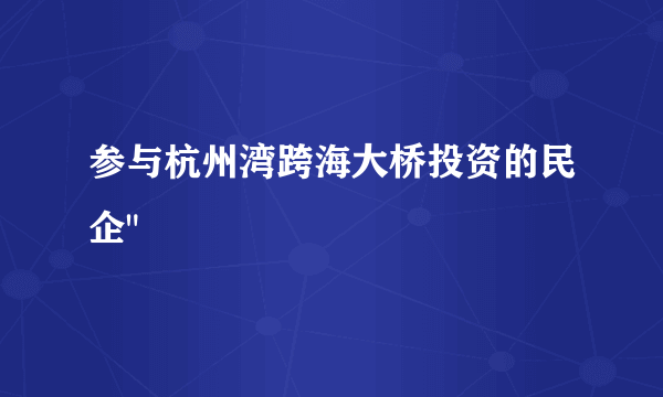 参与杭州湾跨海大桥投资的民企