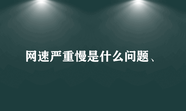 网速严重慢是什么问题、