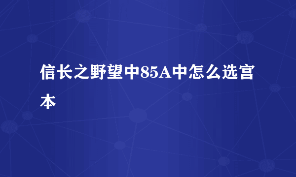 信长之野望中85A中怎么选宫本