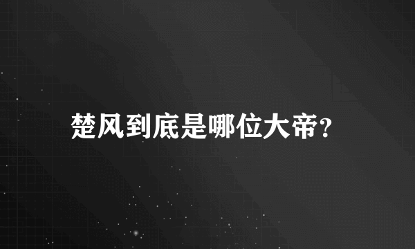 楚风到底是哪位大帝？