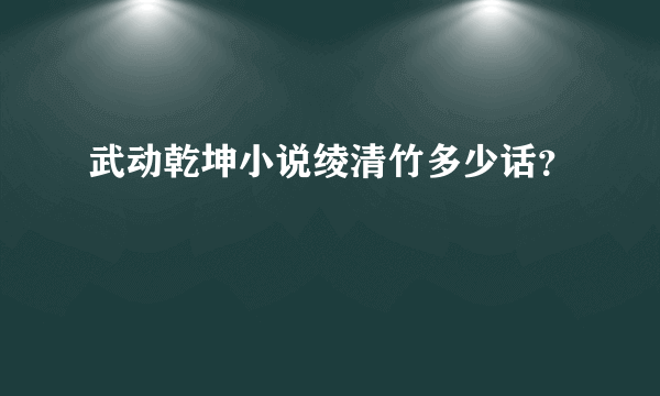 武动乾坤小说绫清竹多少话？