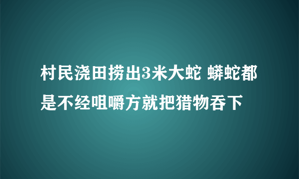 村民浇田捞出3米大蛇 蟒蛇都是不经咀嚼方就把猎物吞下