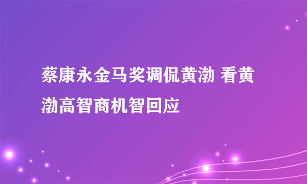 蔡康永金马奖调侃黄渤 看黄渤高智商机智回应